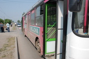 В Новосибирске ищут очевидцев гибели кондуктора автобуса № 1137