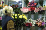 Правительство Тверской области закупает девайсы, а гордума - цветы
