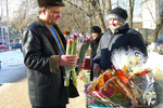 8 марта близко: в Твери бабушки торговать цветами не смогут, потому что разукрашенных палаток у них нет