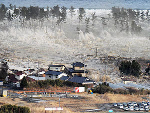 Число жертв землетрясения в Японии до сих пор не подсчитано
