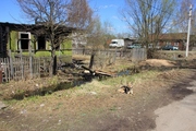 В Вышнем Волочке Тверской области собака Умка не отходит от дома, где сгорели трое детей  и ждет возвращения своих хозяев