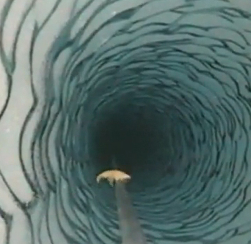 Креветка, прилипшая к тросу в антарктической скважине НАСА