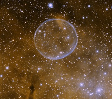Не исключено, что аузырь повис во Вселенной в честь Перельмана