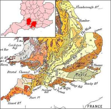 Числом "14" обозначены области Великобритании, богатые залежами мела. Как раз тут в основном и возникают хлебные круги
