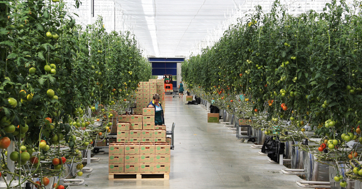 Похожее изображение