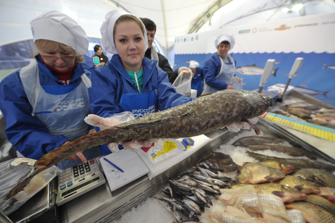 Мурманская рыба. Мурманск рыба. Рыба Мур. Мурманская Рыбная продукция. Проект рыбный фестиваль.