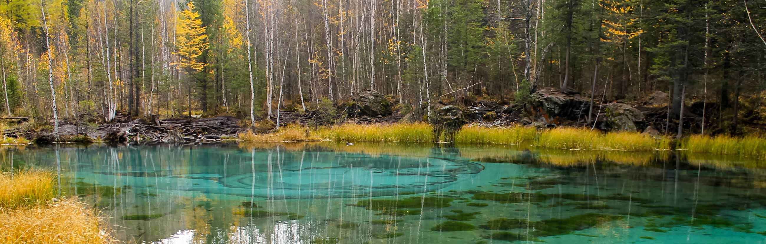 Гейзерное озеро на Алтае: фото, цены, история, отзывы, как добраться