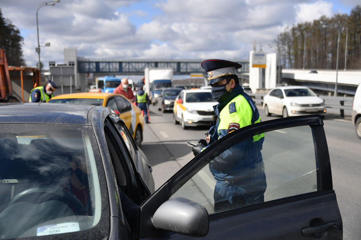 Цифровые пропуска для поездки на дачу в Москве могут оформить пенсионеры -  KP.RU