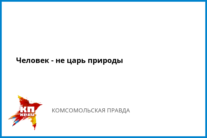 Доклад человек царь природы 8048
