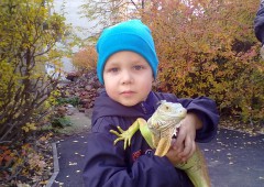 Первая встреча с игуаной